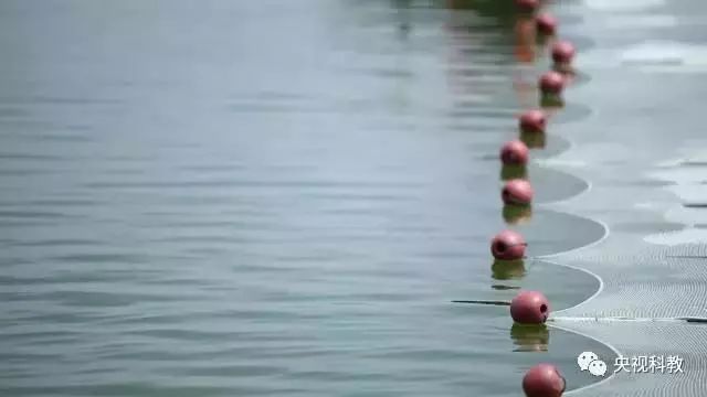 央視聚焦<a href=http://m.massivesupply.com target=_blank class=infotextkey>雙良</a><a href=http://m.massivesupply.com target=_blank class=infotextkey>新型光催化</a>“走進(jìn)科學(xué)”