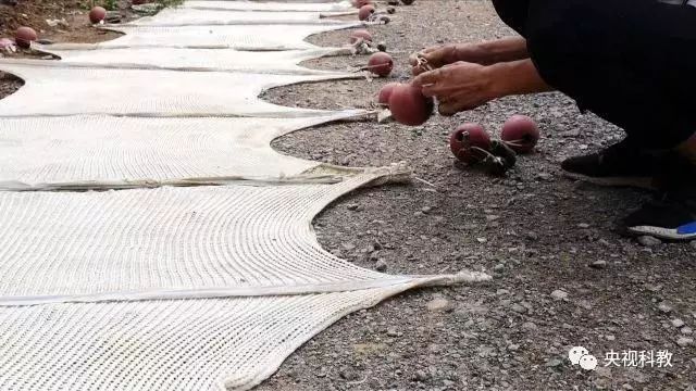 央視聚焦<a href=http://m.massivesupply.com target=_blank class=infotextkey>雙良</a><a href=http://m.massivesupply.com target=_blank class=infotextkey>新型光催化</a>“走進(jìn)科學(xué)”