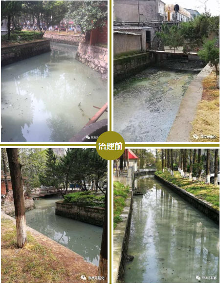 崇川區(qū)召開市區(qū)<a href=http://m.massivesupply.com target=_blank class=infotextkey>水環(huán)境治理</a>生物治理成果匯報會