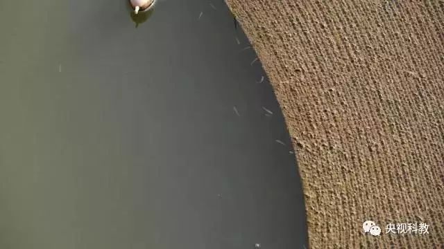 央視聚焦<a href=http://m.massivesupply.com target=_blank class=infotextkey>雙良</a><a href=http://m.massivesupply.com target=_blank class=infotextkey>新型光催化</a>“走進(jìn)科學(xué)”