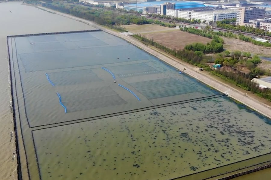 太湖水華控制和水草恢復(fù)光催化<a href=http://m.massivesupply.com target=_blank class=infotextkey>水生態(tài)修復(fù)</a>示范項目