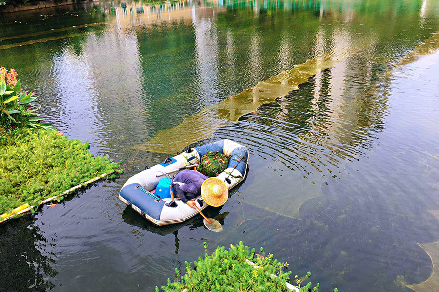 廣東省深圳市辛養(yǎng)魚塘-<a href=http://m.massivesupply.com target=_blank class=infotextkey>水生態(tài)修復(fù)</a>示范項(xiàng)目