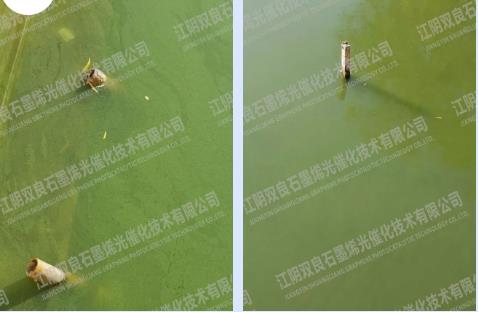 14億！江蘇南通如東縣農(nóng)村水環(huán)境治理二期項(xiàng)目EPCO工程總承包如東縣農(nóng)村水環(huán)境治理等資格后審公告