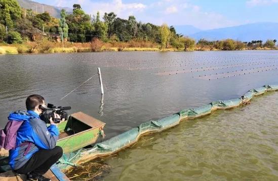 且看這個(gè)“不簡(jiǎn)單的網(wǎng)”如何改善大理洱源<a href=http://m.massivesupply.com target=_blank class=infotextkey>水生態(tài)修復(fù)</a>環(huán)境