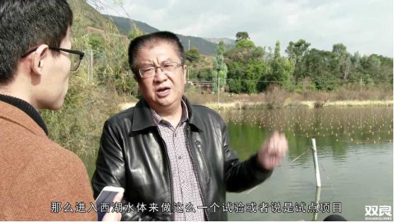 洱源西湖<a href=http://m.massivesupply.com target=_blank class=infotextkey>水環(huán)境治理</a><a href=http://m.massivesupply.com/hp/ target=_blank class=infotextkey>湖泊修復(fù)</a>碧水藍(lán)天