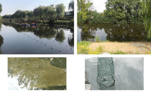 江陰市濱江河黑臭水體<a href=http://m.massivesupply.com target=_blank class=infotextkey>河道治理</a>