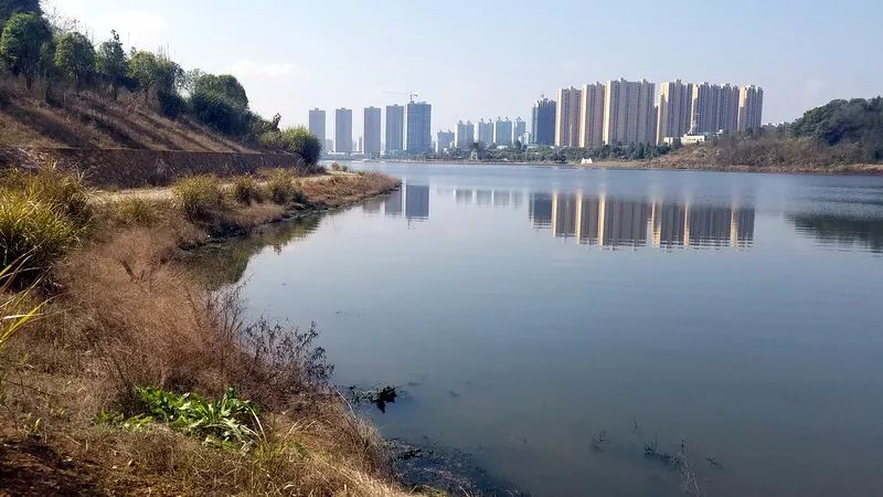 長興湖水<a href=http://m.massivesupply.com target=_blank class=infotextkey>水環(huán)境治理</a>