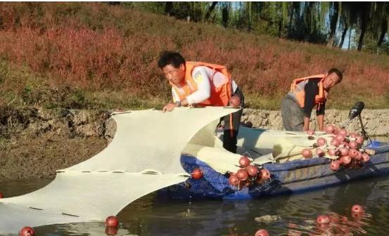 <a href=http://m.massivesupply.com target=_blank class=infotextkey>雙良</a>光催化為通州鳳港減河專門治水體