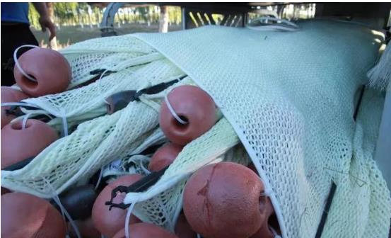 <a href=http://m.massivesupply.com target=_blank class=infotextkey>雙良</a>光催化為通州鳳港減河專門治水體