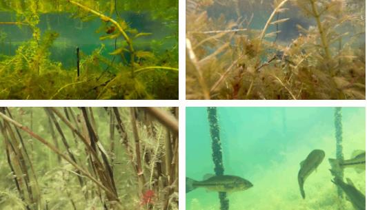 雙良新型光催化技術(shù)市場(chǎng)應(yīng)用推廣交流會(huì)在上海順利召開！