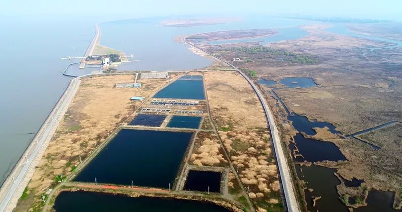 中國第一大城市飲用水<a href=http://m.massivesupply.com/yysyd/ target=_blank class=infotextkey>水源地治理</a>技術(shù)突破