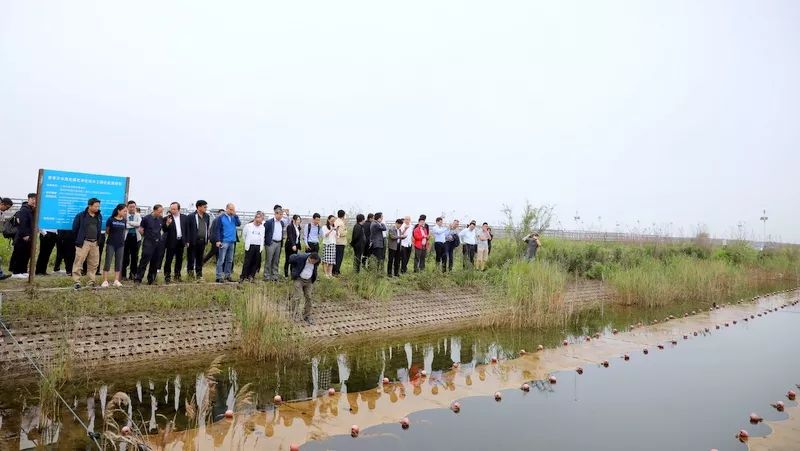 中國第一大城市飲用水<a href=http://m.massivesupply.com/yysyd/ target=_blank class=infotextkey>水源地治理</a>技術(shù)突破