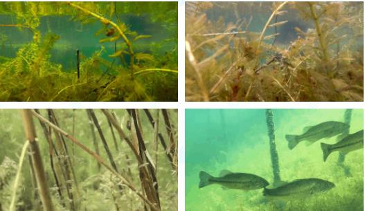 <a href=http://m.massivesupply.com/yysyd/ target=_blank class=infotextkey>水源地治理</a>