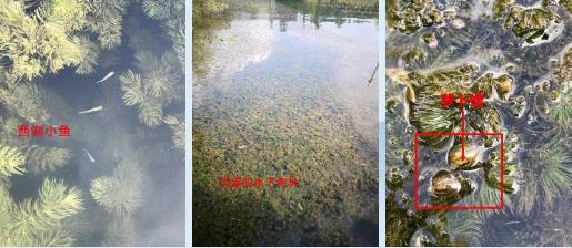 生態(tài)環(huán)境部：長江生態(tài)環(huán)境保護修復“一市一策” 駐點跟蹤研究（二期）（附工作組清單）