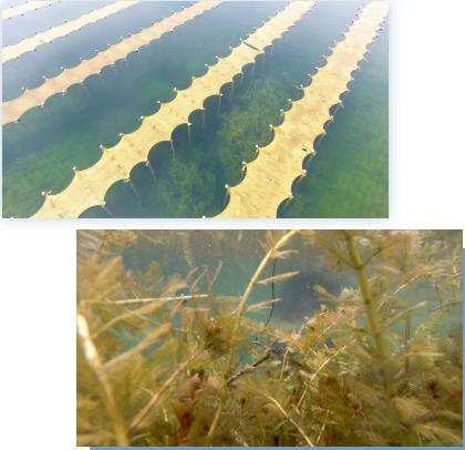 <a href=http://m.massivesupply.com target=_blank class=infotextkey><a href=http://m.massivesupply.com target=_blank class=infotextkey>雙良</a>環(huán)境</a><a href=http://m.massivesupply.com target=_blank class=infotextkey>新型光催化</a>技術(shù)率先打響“抗生素戰(zhàn)役