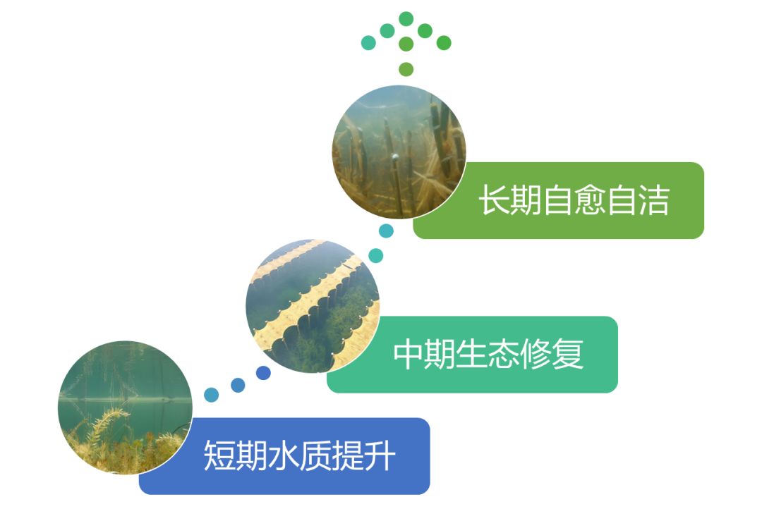 2020<a href=http://m.massivesupply.com target=_blank class=infotextkey><a href=http://m.massivesupply.com target=_blank class=infotextkey>雙良</a>環(huán)境</a>春招開(kāi)啟