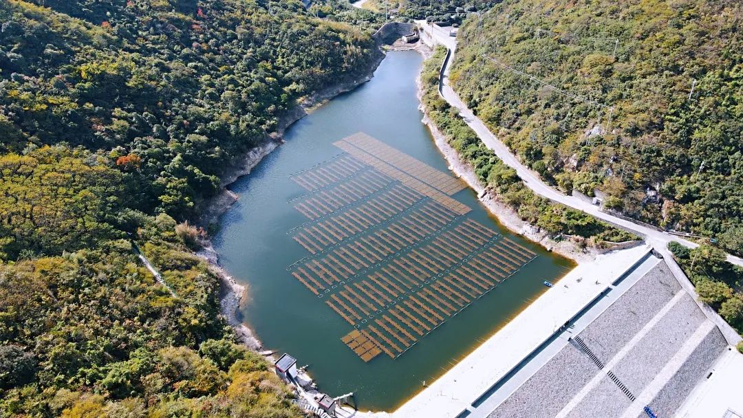 雙良環(huán)境宣傳工作調(diào)查問卷來啦！