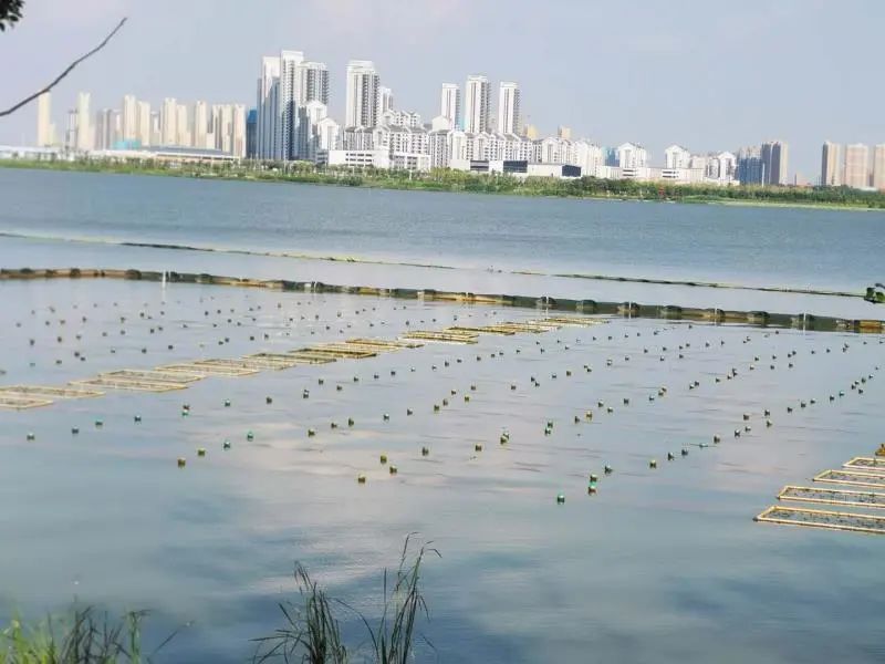 <a href=http://m.massivesupply.com target=_blank class=infotextkey><a href=http://m.massivesupply.com target=_blank class=infotextkey>雙良</a>環(huán)境</a>乘風(fēng)破浪的三石弟弟