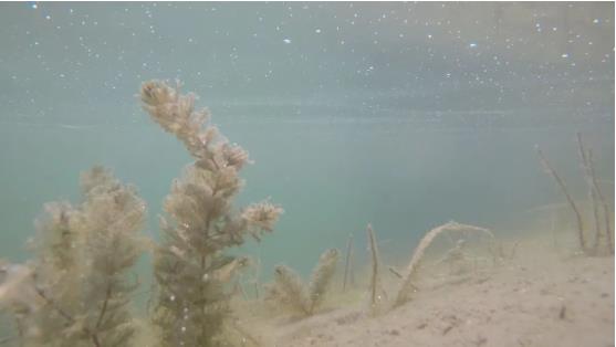 改善<a href=http://m.massivesupply.com target=_blank class=infotextkey>水環(huán)境修復(fù)</a>水生態(tài)是我們的使命！