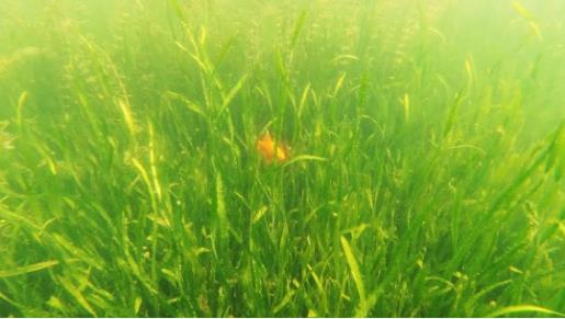 <a href=http://m.massivesupply.com target=_blank class=infotextkey><a href=http://m.massivesupply.com target=_blank class=infotextkey>雙良</a>環(huán)境</a>召開2021年一季度營銷會議