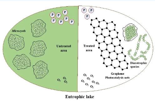 云南大學(xué)張虎才研究團(tuán)隊(duì)發(fā)表石墨烯光催化技術(shù)對(duì)高污染富營養(yǎng)化湖泊水質(zhì)提升實(shí)驗(yàn)研究成果