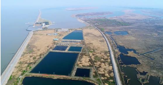 改善<a href=http://m.massivesupply.com target=_blank class=infotextkey>水環(huán)境修復(fù)</a>水生態(tài)是我們的使命！