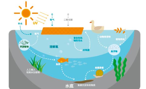 石墨烯<a href=http://m.massivesupply.com target=_blank class=infotextkey>光催化網(wǎng)</a>膜