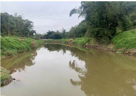 夏季水草豐茂的水域pH為何容易“超標”？