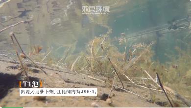 湖山水庫(kù)水源地整治效果明顯村民開(kāi)始飲用水庫(kù)水