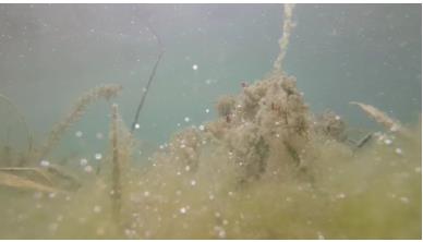 多地發(fā)布水環(huán)境治理項目，水利展重磅發(fā)布！