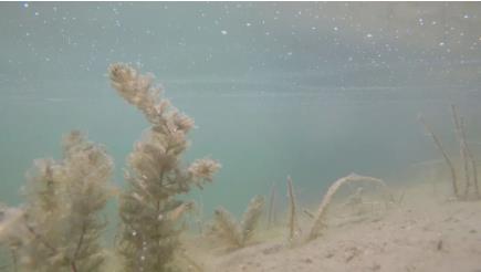 水源地治理飲用水水源地修復是重點治理區(qū)域